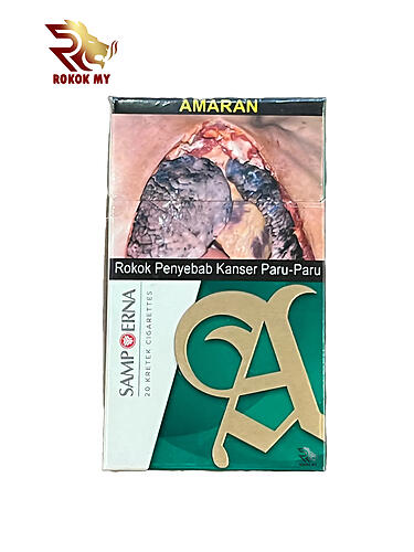 Sampoerna Menthol (per carton)